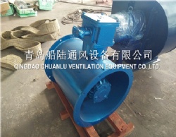 CBZ-30A Marine explosion-proof Axial flow fan