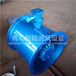CBZ-60 Marine explosion-proof Axial flow blower