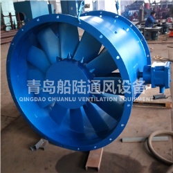 CBZ-140A Marine explosion-proof Axial flow blower