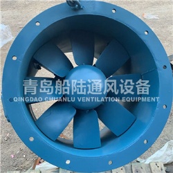 JCZ(CZ)-45 Marine Axial flow ventilator fan